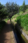 Langs Levada Ribeira da Janela