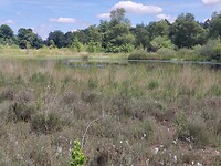 IMG_20220621_133212