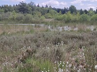 IMG_20220621_133146