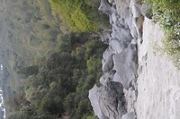 98F04878-79C2-4C37-9099-0B517596B521