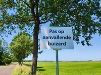74E7D38E-B2D2-43BE-BE70-0A3FDFD7A03D_1_201_a