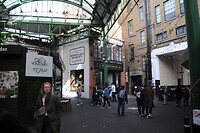 DSC_8145