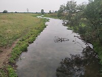 1688041871334