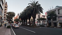 IMG_20231120_165114