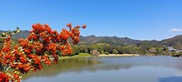 IMG-20231122-WA0000
