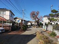IMG_20231201_130341