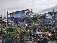 IMG_20231201_125016