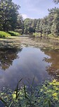 IMG_20240715_140030