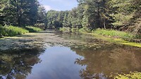 IMG_20240715_140021