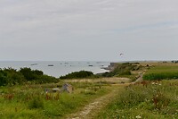 _D8F9252
