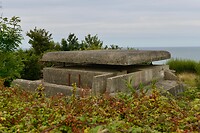 _D8F9251