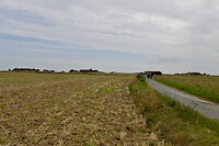 _D8F9248