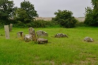 _D8F9494