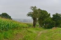 _D8F9492