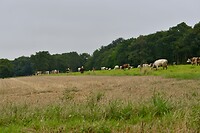 _D8F9491