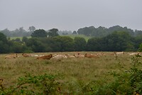 _D8F9485