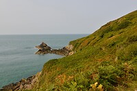 _D8F9648