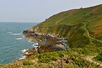 _D8F9646