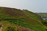 _D8F9635