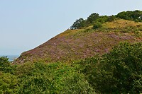 _D8F9633