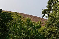 _D8F9630