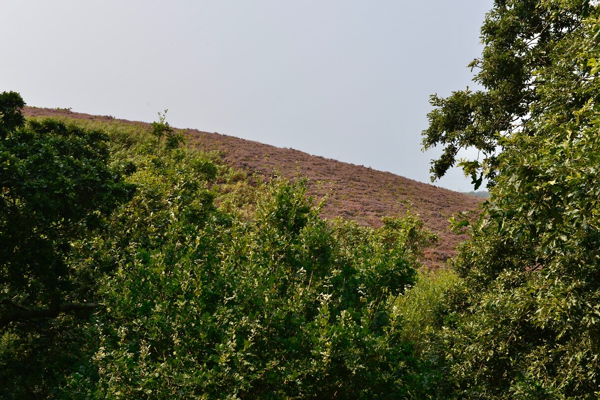 _D8F9630