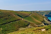 _D8F9665