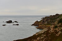 _D8F9730