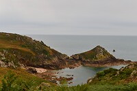 _D8F9696
