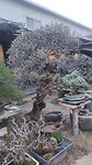IMG_20260205_172612