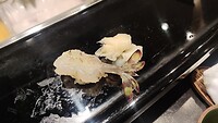 IMG_20260206_120829