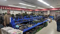 IMG_20260207_165055