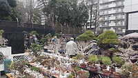 IMG_20260207_161253