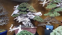IMG_20260207_160520