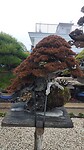 IMG_20260207_102625