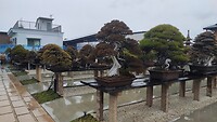 IMG_20260207_095952