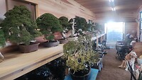 IMG_20260212_160510