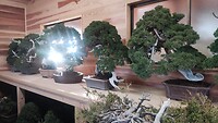 IMG_20260212_160336