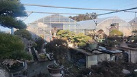 IMG_20260212_160056
