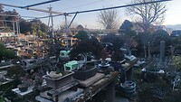 IMG_20260212_160051