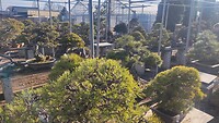 IMG_20260212_152933