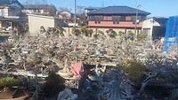 IMG_20260212_145520