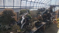IMG_20260212_120553