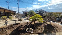 IMG_20260212_115052