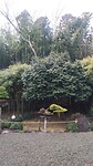 IMG_20260212_094128