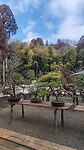 IMG_20260212_093447_1