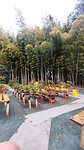 IMG_20260212_093000