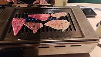 IMG_20260213_191956