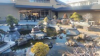 IMG_20260213_153319