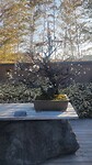 IMG_20260213_151559